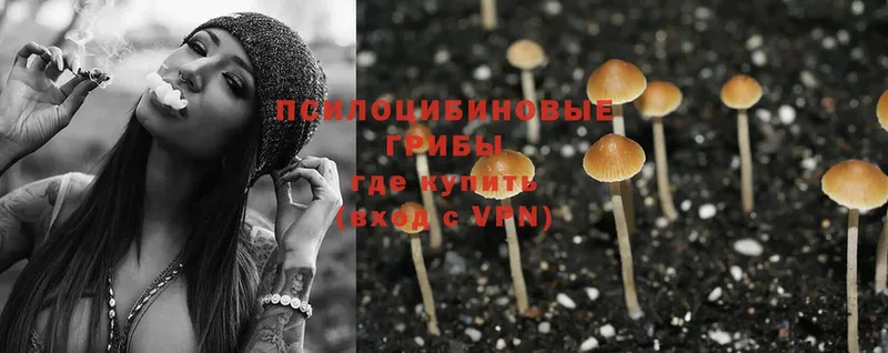 Галлюциногенные грибы MAGIC MUSHROOMS  Рубцовск 